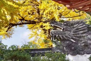 China Hollywood and Yiwu-the offline Temu commercial heaven