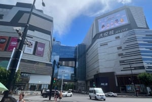 Shanghai: Anime- ja popkulttuurikierros ja shoppailua