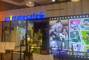 Shanghai: Anime- ja popkulttuurikierros ja shoppailua