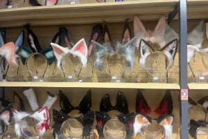Shanghai: Anime- ja popkulttuurikierros ja shoppailua