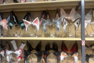 Шанхай: тур по аниме и поп-культуре с шопингом