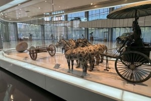 Shanghai: Auto Museum, EV Showrooms, and Robotaxi Tour