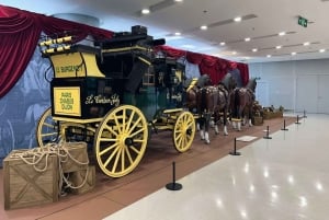 Shanghai: Auto Museum, EV Showrooms, and Robotaxi Tour