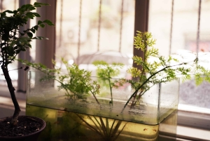 Shanghai : expérience de la culture chinoise et de la calligraphie