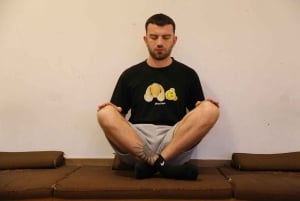 Shanghai: Chinese Kung Fu Class with English-Speaking Master