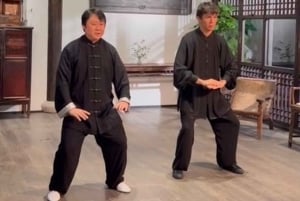 Shanghai: Chinese Kung Fu Class with English-Speaking Master
