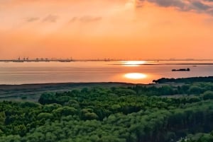 Shanghai: tour privato dell'isola di Chongming con pranzo