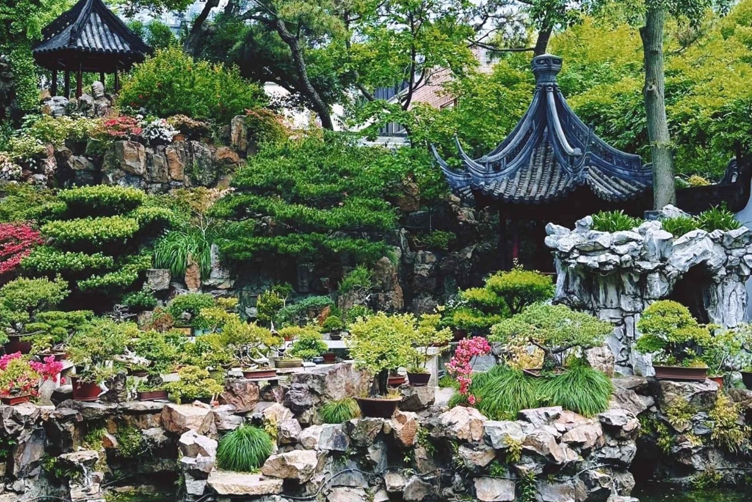 Les incontournables de Shanghai : culture, jardin Yu et vues nocturnes