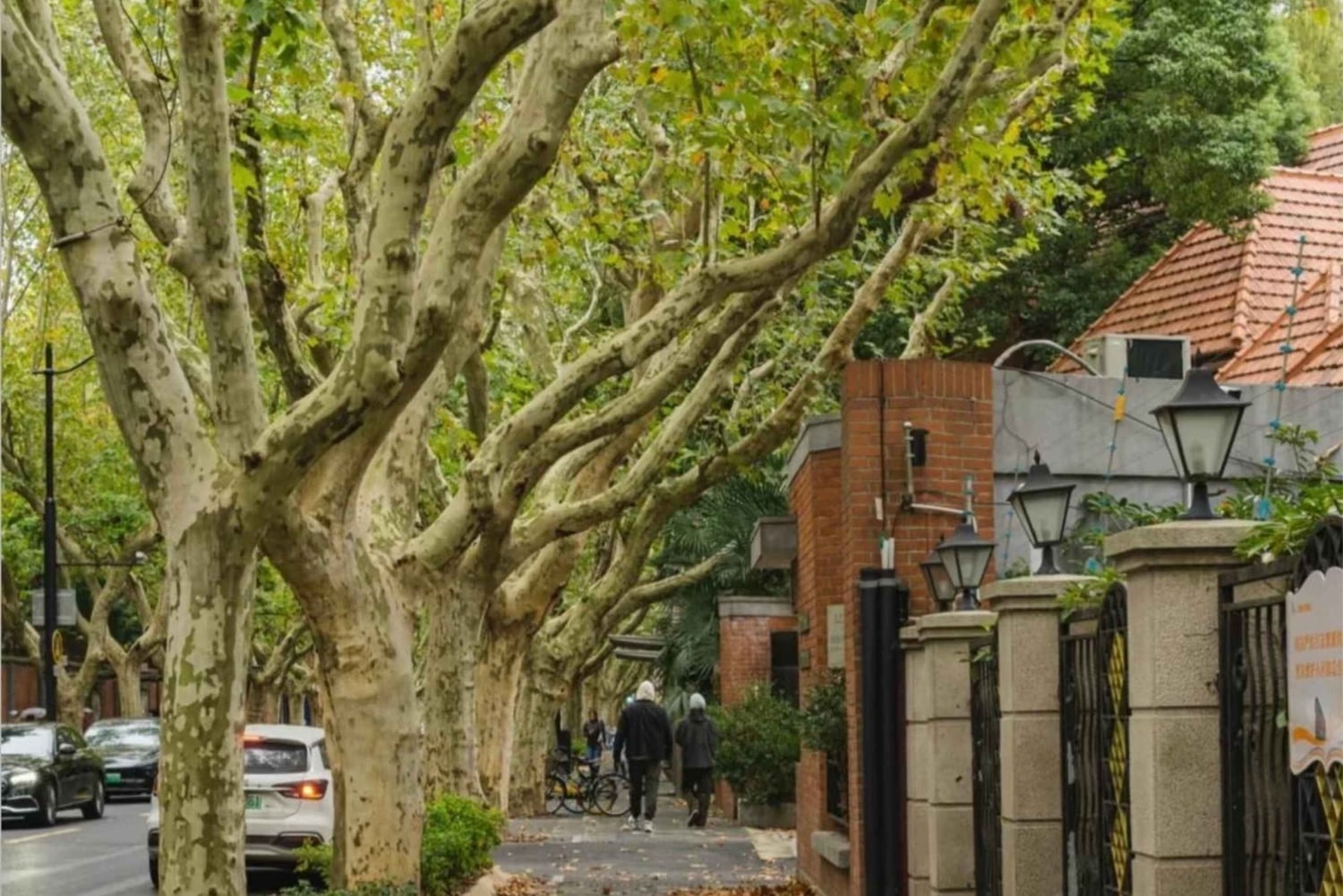 Les incontournables de Shanghai : culture, jardin Yu et vues nocturnes