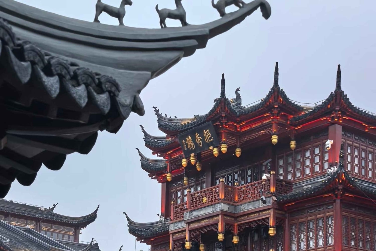 Les incontournables de Shanghai : culture, jardin Yu et vues nocturnes
