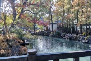 Shanghai: Byens høydepunkter med elvecruise