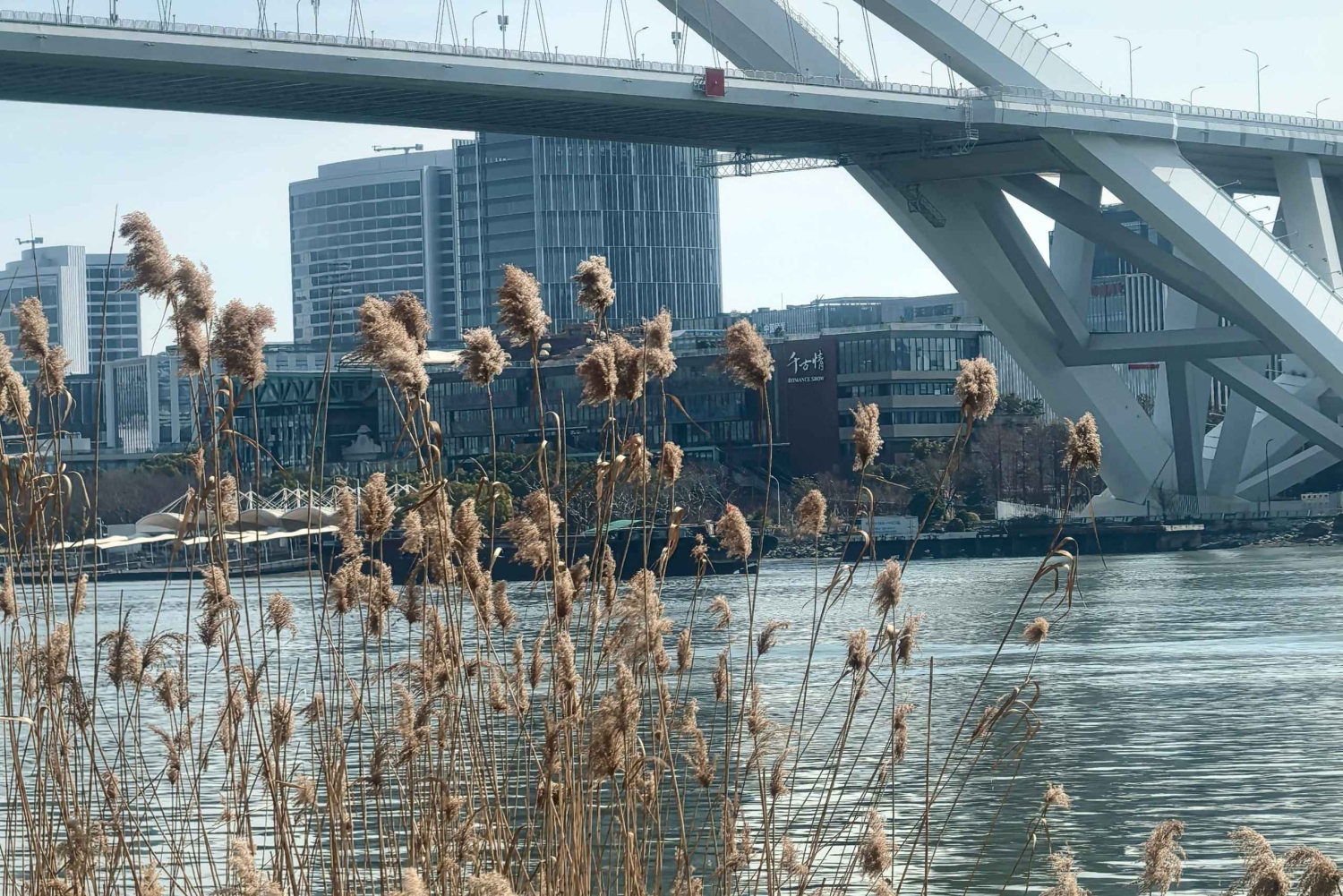 Shanghai Citybike/Citywalk al New Bund ed esperienza della vita locale