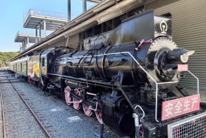 Shanghai Citybike/Citywalk al New Bund ed esperienza della vita locale