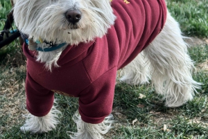 Shanghai Citybike/Citywalk al New Bund ed esperienza della vita locale