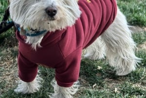 Shanghai Citybike/Citywalk en el Nuevo Bund y experiencia de la vida local