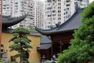 Shanghai: dag van het boeddhisme, gebed en creativiteit