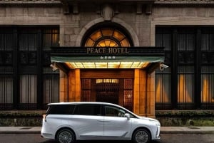 Dagsomvisning i Shanghai: privat bil/van + sjåfør + guide (inkl. billetter)