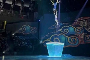 Dagsomvisning i Shanghai: privat bil/van + sjåfør + guide (inkl. billetter)