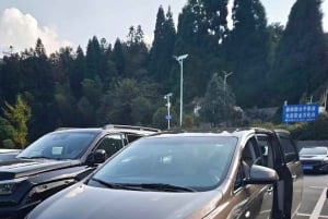 Dagsomvisning i Shanghai: privat bil/van + sjåfør + guide (inkl. billetter)