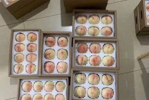Shanghai : fruits délicats de saison et expérience de cueillette