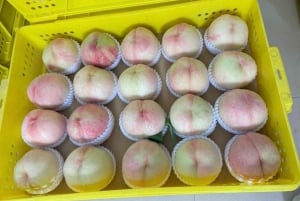 Shanghai : fruits délicats de saison et expérience de cueillette