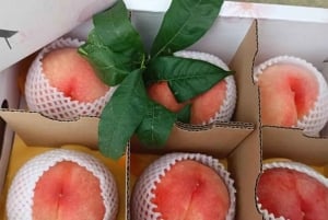 Shanghai : fruits délicats de saison et expérience de cueillette