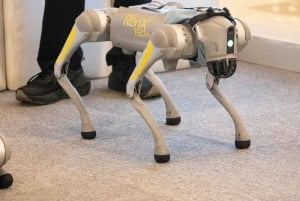 Shanghái: lo último en tecnología con robótica, vehículos eléctricos y drones