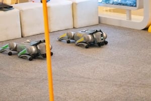 Shanghái: lo último en tecnología con robótica, vehículos eléctricos y drones