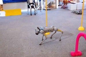 Shanghái: lo último en tecnología con robótica, vehículos eléctricos y drones