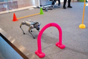 Shanghái: lo último en tecnología con robótica, vehículos eléctricos y drones