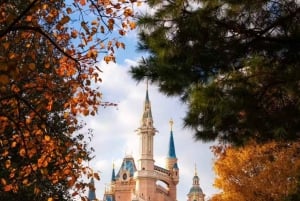 Ticket de 1 día para Disneyland de Shanghái: ¡desbloquea la magia!
