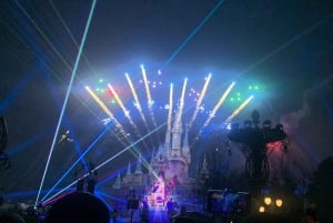 上海ディズニーランド プライベートグループ 1日ツアー