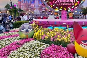 Traslado privado a Disneyland Shanghái con entradas