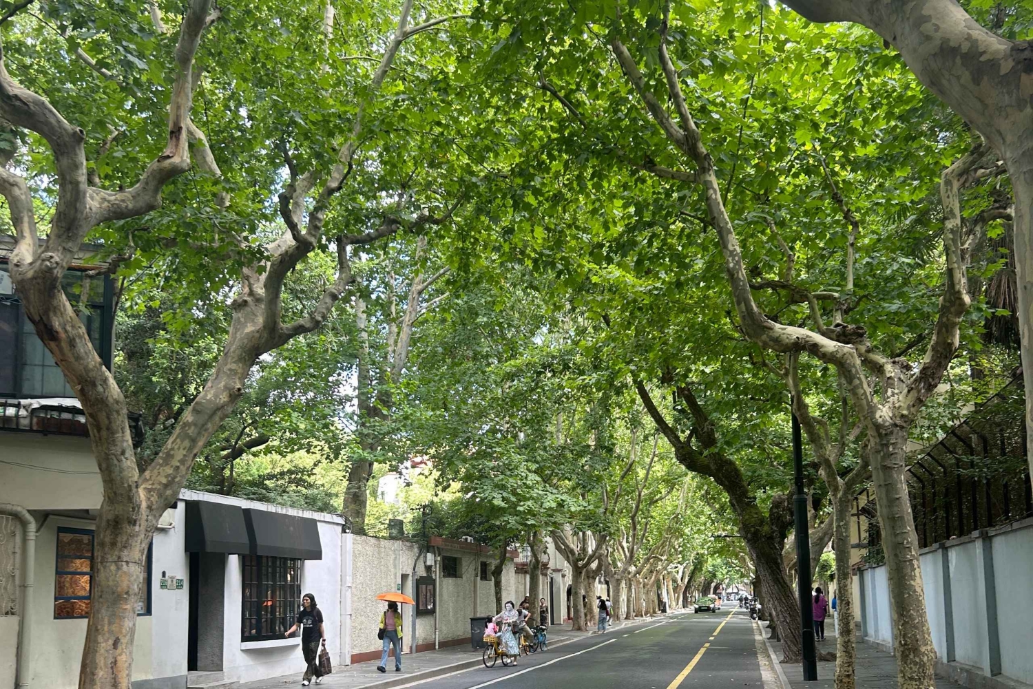 Shanghái: tour para correr y a pie por la Concesión Francesa