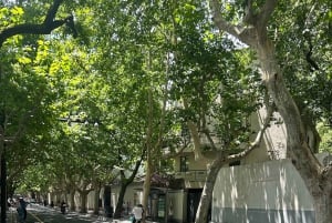 Shanghai: French Concession Jogging and Walking Tour