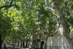 Shanghái: tour para correr y a pie por la Concesión Francesa