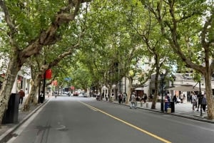 Shanghai: From Colonial Paris to Modern China Guided Tour