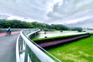 Tour de medio día en bici por la orilla este del río Huangpu en Shanghái