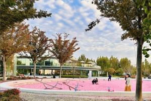 Tour de medio día en bici por la orilla este del río Huangpu en Shanghái