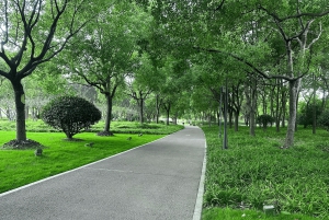 Tour de medio día en bici por la orilla este del río Huangpu en Shanghái