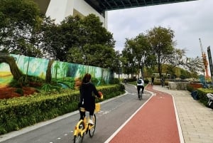 Tour de medio día en bici por la orilla este del río Huangpu en Shanghái