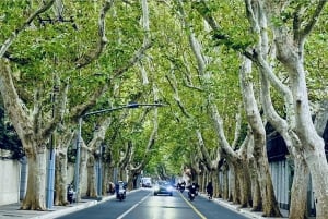 Halvdagstur på sykkel langs østbredden av Huangpu-elven i Shanghai