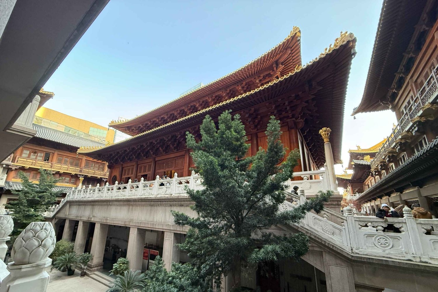 Shanghai: Tour di un giorno del Tempio di Jingan, Tianzifang e Shikumen