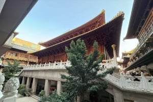 Shanghai: Visita de un día al Templo Jingan, Tianzifang y Shikumen