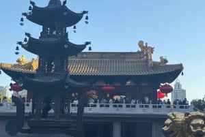 Shanghai: Visita de un día al Templo Jingan, Tianzifang y Shikumen
