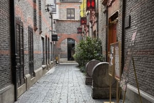 Shanghai: Visita de un día al Templo Jingan, Tianzifang y Shikumen