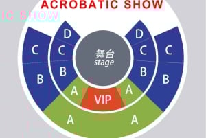 Shanghai: Journey Through Time and Space Acrobatics Show