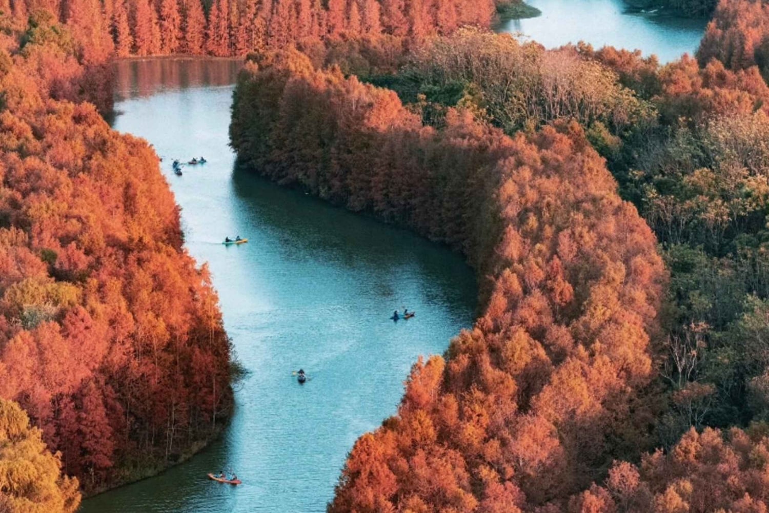 Shanghai: Kayaking Adventure in Shanghai Bay Forest Park
