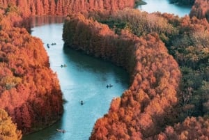 Shanghái: Aventura en kayak en el Parque Forestal de la Bahía de Shanghái