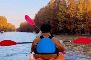 Shanghái: Aventura en kayak en el Parque Forestal de la Bahía de Shanghái